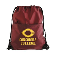 Bag47 Nylon All Purpose Drawstring Tote