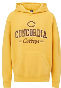 Ch217 Youth Hooded Sweatshirt