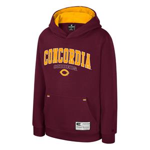 Ch219 Youth Fleece Hooded Sweatshirt With Twill And Embroidered Logo