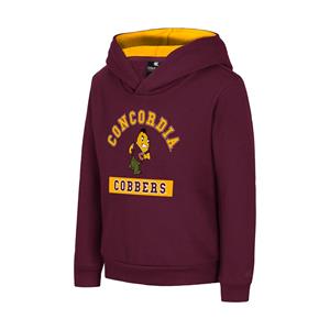 Ch222 Toddler Fleece Hooded Sweatshirt