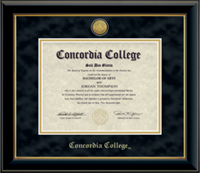 Dip-3Ma Master Degree Engraved Black/Gold Diploma Frame Suede Mat