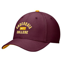 Hat180 Nike Dri-Fit Fitted Cap