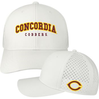 Hat185 Adjustable Cap