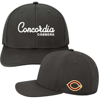 Hat186 Adjustable Cap