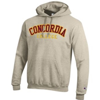 Hs-456A Hooded Fleece Sweatshirt With Applique Patch
