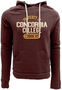 Hs599 Bue84 Tri-Blend Fleece Raglan Sleeve Hooded Sweatshirt