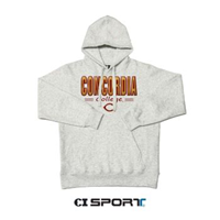 Hs638 Hooded Fleece Sweatshirt With Satin Applique Graphic