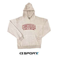Hs639 Hooded Fleece Sweatshirt With Embroidered Graphic