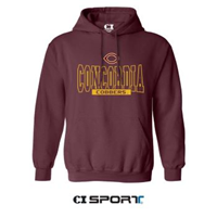 Hs642 Hooded Fleece Sweatshirt With Embroidered Front Graphic