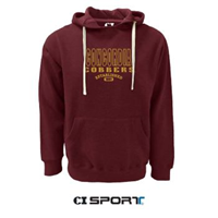 Hs643 Hooded Fleece Sweatshirt With Embroidered Front Graphic