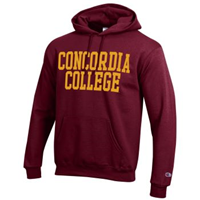 Hs645 Hooded Fleece Sweatshirt With Imprinted Graphic