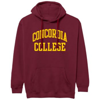 Hs647 Hooded Fleece Sweatshirt With Twill Lettering