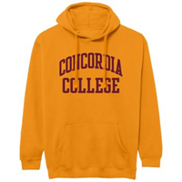 Hs648 Hooded Fleece Sweatshirt With Twill Lettering