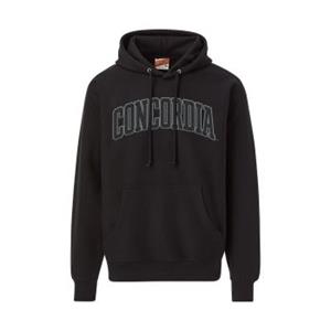 Hs669 Fleece Hooded Sweatshirt With Tonal Chenille Patch