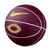 Nv139 Nike Small Training Basketball