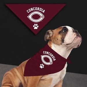 Pet07 Pet Bandana