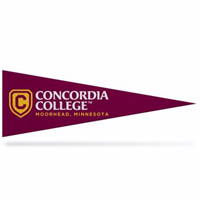 Pn18 5"X15" Pennant