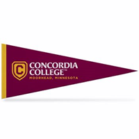 Pn19 12"X30" Large Pennant