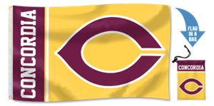 Pn20 3X5 Nylon Flag In Reusable Bag