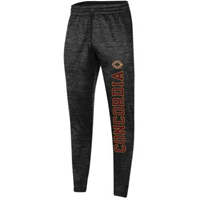 Pt152 Under Armour Polyester Jogger