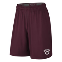 Sh108 Nike Shorts