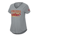 Ts647 Ladies V-Neck T-Shirt