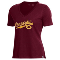 Ts695 Ladies Under Armour V-Neck T-Shirt