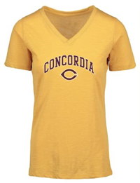 Ts713 Ladies V-Neck Slub Fabric Short Sleeve T-Shirt
