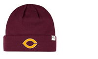 Ww134 Polar Fleece Lined Beanie