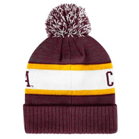 WW137 KNIT IN BEANIE WITH POM