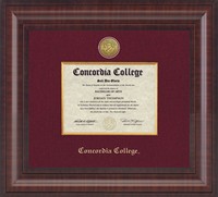Dip-2Ba Bachelor Degree Premier Diploma Frame Maroon Linen Mat