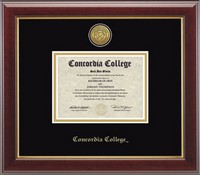 Dip-4Ba Bachelor Degree Engraved Gallery Diploma Frame Black Mat